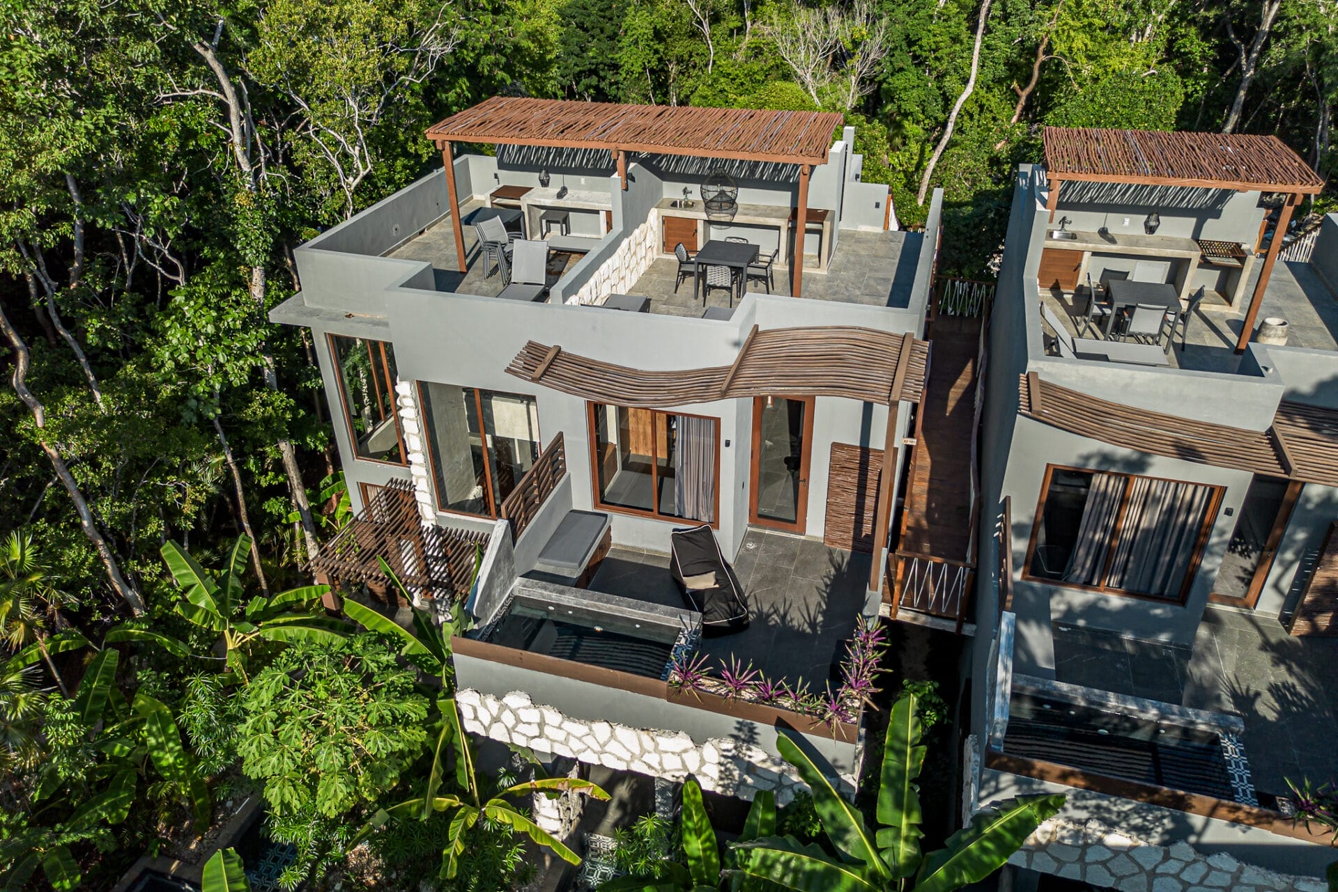 Jungle Sky Oasis Jungle Sky Oasis